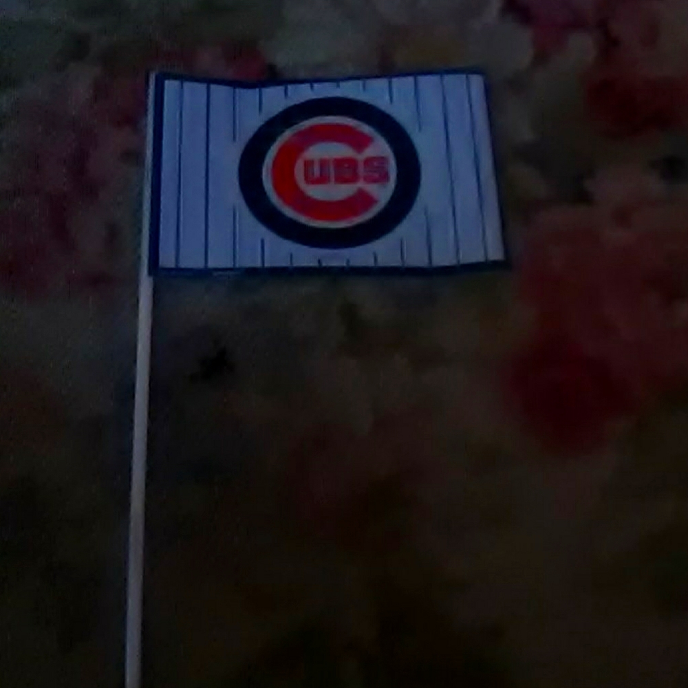 3 little Chicago cubs flags